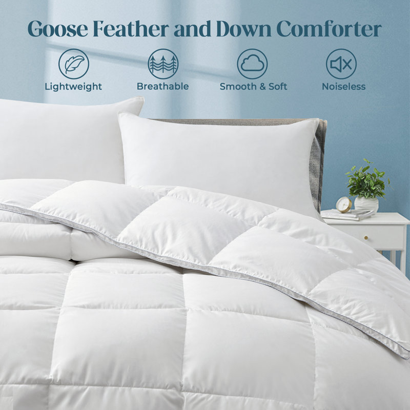 Alwyn Home 600in³/oz Fill Power All Season Goose Down Comforter